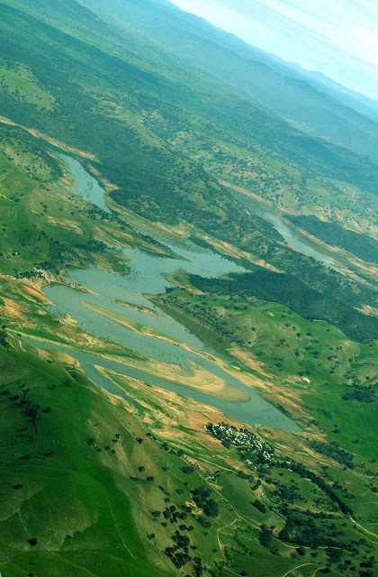 Observações desde o espaço apontam que o mundo em seu conjunto está ficando mais verde contrariando teorias sobre o desmatamento e a seca. Imagem: Carl Davies/CSIRO, CC BY-SA