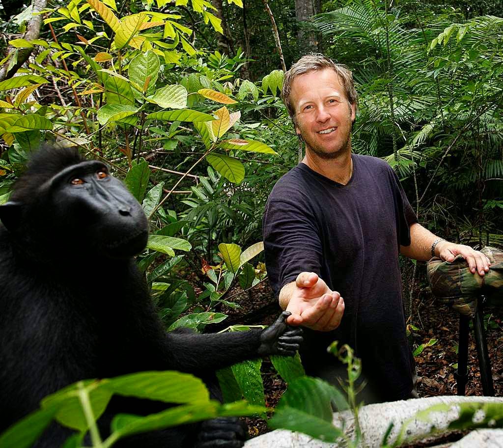 O fotógrafo David Slater com os macacos que brincavam com sua câmara.