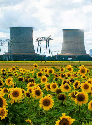 Energia nuclear e barata, segura, confiavel, estavel, diz Dr Moore