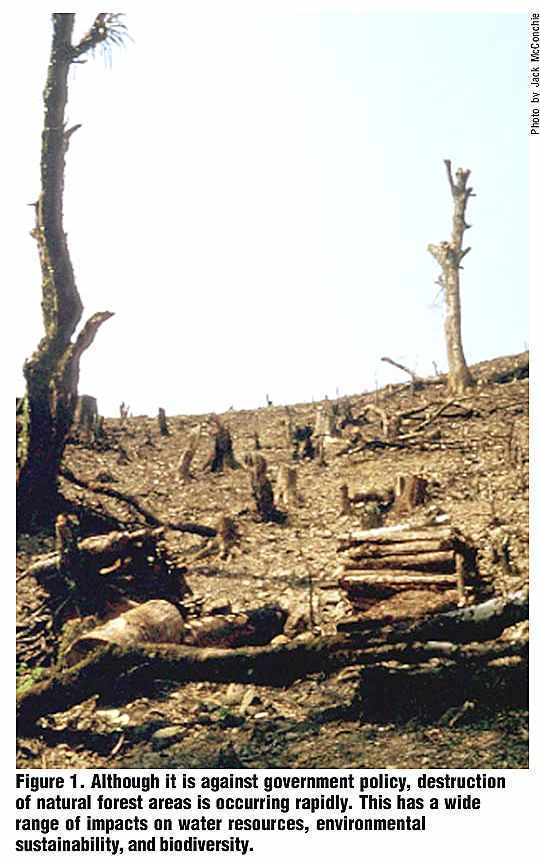 A natureza foi depredada para atingir as metas do socialismo