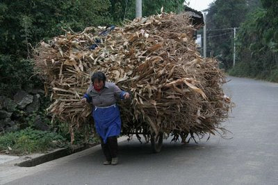 Crise econômica silenciada na China. Yunnan