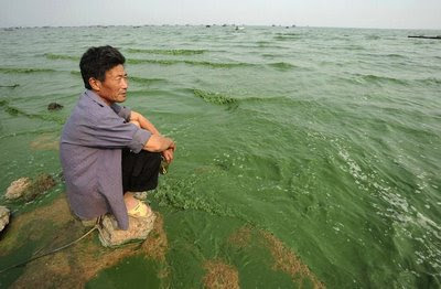 Lago Chaolu, 5º maior da China, invadido por algas