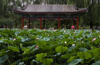 Parque Ritan, uma das três zonas de protesto, vazio, Pequim. Pesadelo chinês